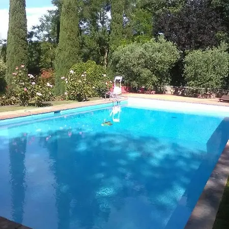 Gli Ulivi