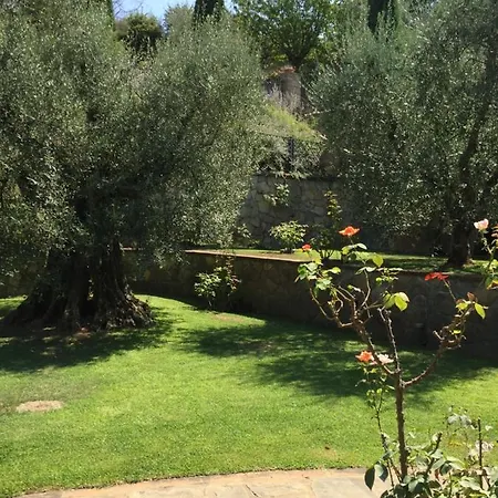 Willa Gli Ulivi