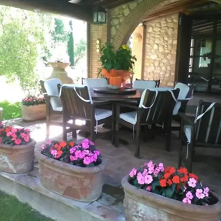 Gli Ulivi Monteleone d'Orvieto