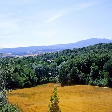 Gli Ulivi