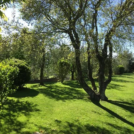 Gli Ulivi Villa