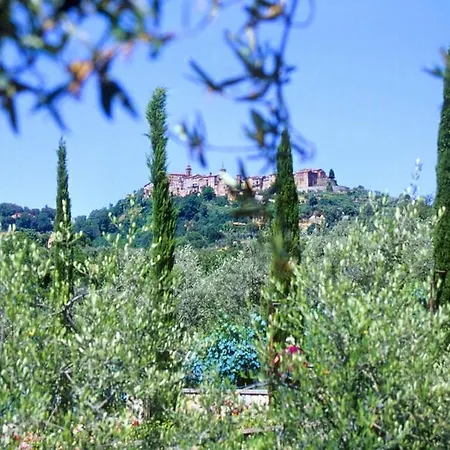 Gli Ulivi *