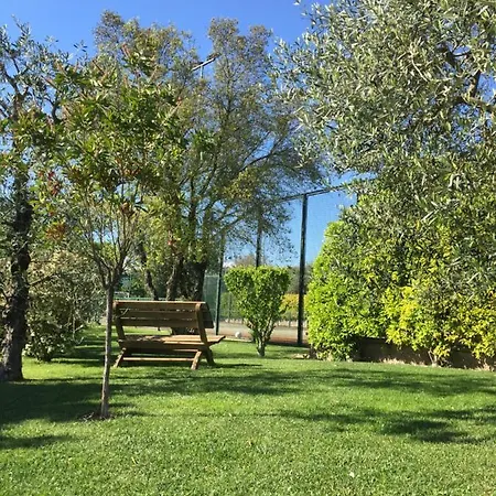 Gli Ulivi Villa *