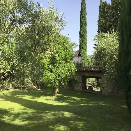 Gli Ulivi Monteleone d'Orvieto