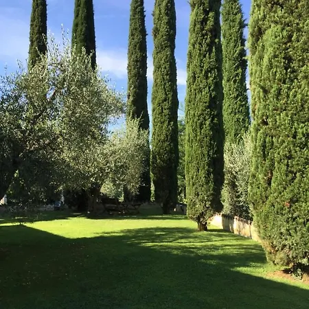 Gli Ulivi Villa Monteleone d'Orvieto