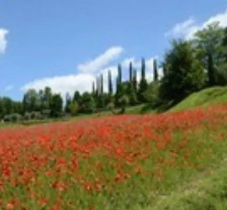 Villa Gli Ulivi